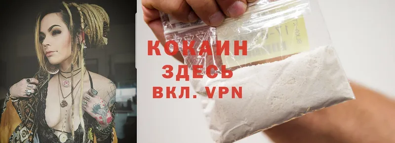 Cocaine Fish Scale  ссылка на мегу как зайти  Яровое 